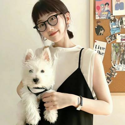 莱西影院夜宵档轻松片单手机追剧快刷合集